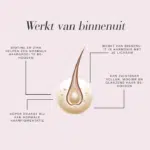 Diagram van een haarstreng met tekst die uitlegt hoe haarvolume van binnenuit werkt.