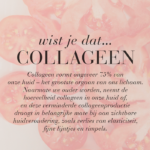 Illustratie met uitleg over collageen en hoe de natuurlijke collageenproductie afneemt naarmate we ouder worden.