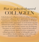 Illustratie met uitleg over gehydrolyseerd collageen en de rol ervan voor de huid.