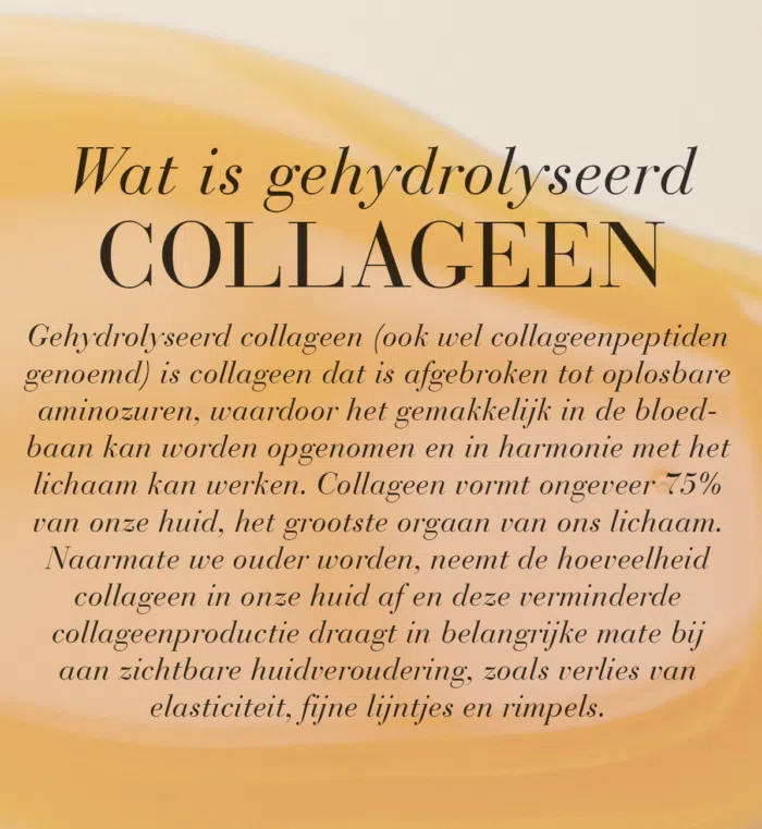 Illustratie met uitleg over gehydrolyseerd collageen en de rol ervan voor de huid.