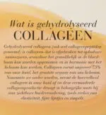 Illustratie met uitleg over gehydrolyseerd collageen en de rol ervan voor de huid.