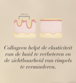 Illustratie van de vermindering van de zichtbaarheid van rimpels in een doorsnede van de huid.