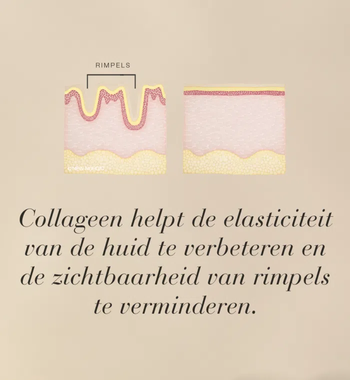 Illustratie van de vermindering van de zichtbaarheid van rimpels in een doorsnede van de huid.