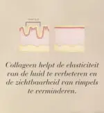 Illustratie van de vermindering van de zichtbaarheid van rimpels in een doorsnede van de huid.