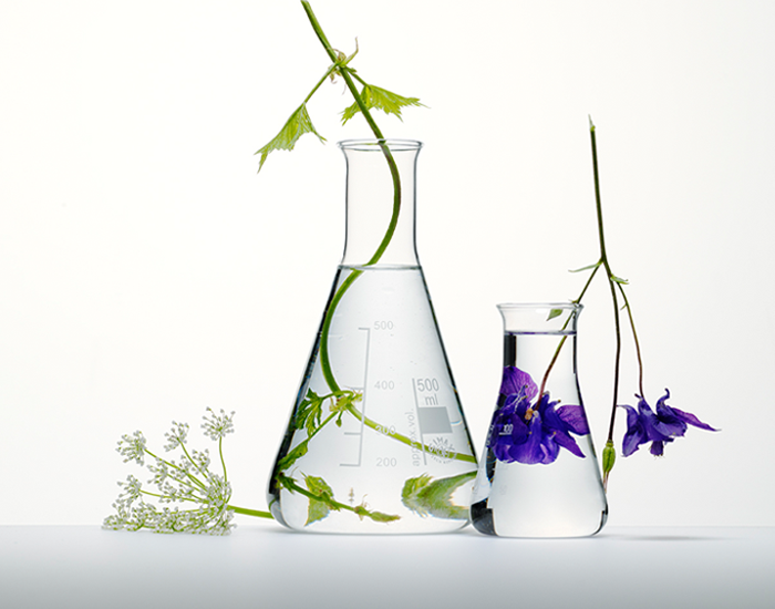 Bloemen naast reageerbuizen in een botanische en wetenschappelijke setting.