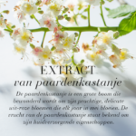 Bloesem van de paardenkastanje als illustratie van het paardenkastanje-extract in huidverzorging.
