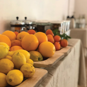 Herbal Schools 32 Verschillende soorten fruit samen gepresenteerd met diverse kleuren en vormen.