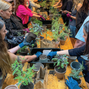 Herbal Schools 10 Mensen tuinieren en experimenteren met kruiden tijdens een kruiden evenement en leren over planten.