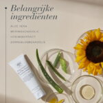 Belangrijke ingrediënten in Deep Cleanse™ Black Bee Honey Cleansing Balm: aloë vera, moringazaadolie, honingextract en zonnebloemzaadolie.