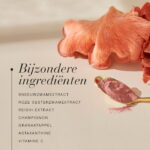 Beauty™ Mushroom ingrediënten met sneeuwzwam, roze oesterzwam, reishi, champignon, granaatappel, astaxanthine en vitamine C.
