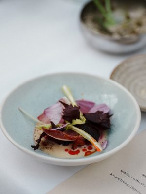 De helende kracht van de natuur – New Nordic-persevenement in Restaurant De kas 6 Verfijnd gerecht geserveerd in een kom op een gedekte tafel.