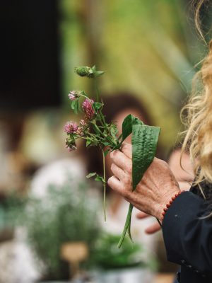 De helende kracht van de natuur – New Nordic-persevenement in Restaurant De kas 9 Hand houdt verse kruiden en bladeren vast tijdens een New Nordic kruiden evenement.